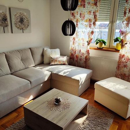 Apartment Rosa Novi Sad Ngoại thất bức ảnh