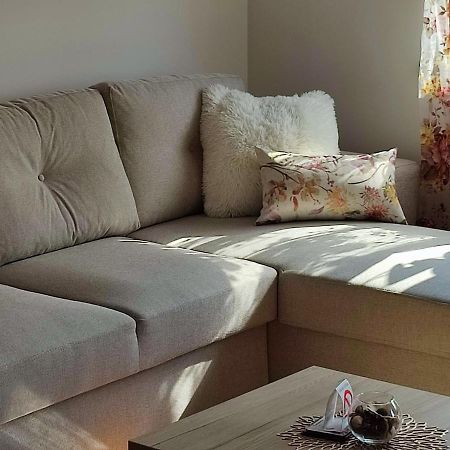 Apartment Rosa Novi Sad Ngoại thất bức ảnh