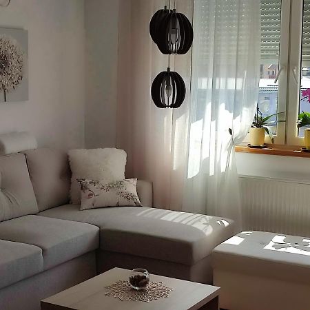 Apartment Rosa Novi Sad Ngoại thất bức ảnh
