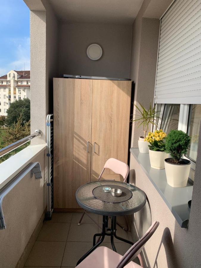 Apartment Rosa Novi Sad Ngoại thất bức ảnh