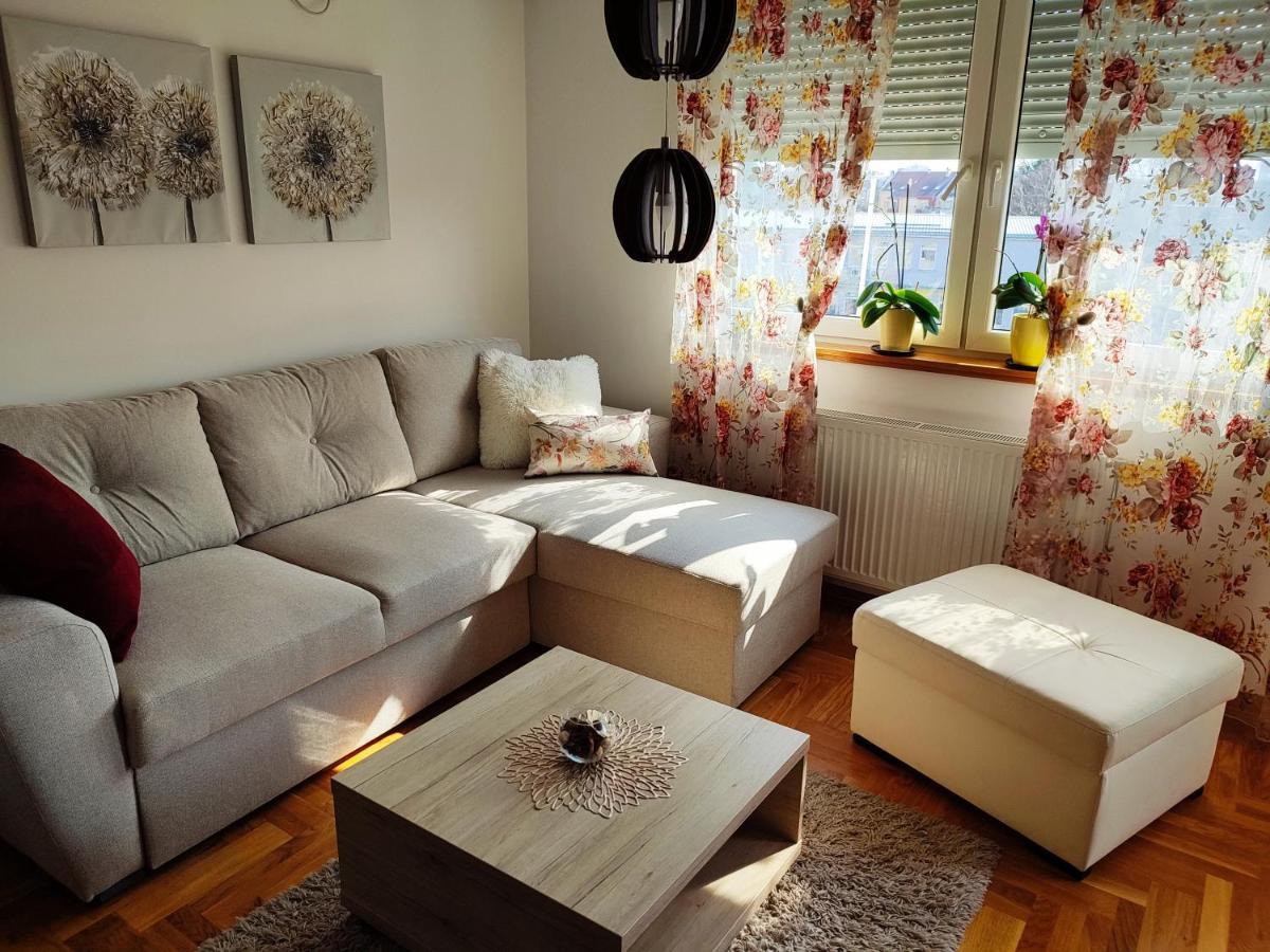 Apartment Rosa Novi Sad Ngoại thất bức ảnh