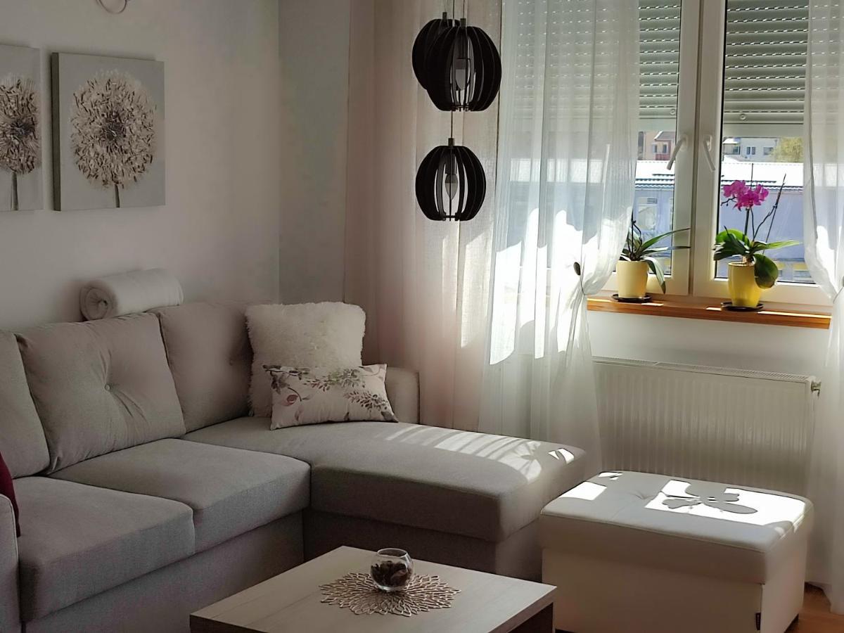 Apartment Rosa Novi Sad Ngoại thất bức ảnh